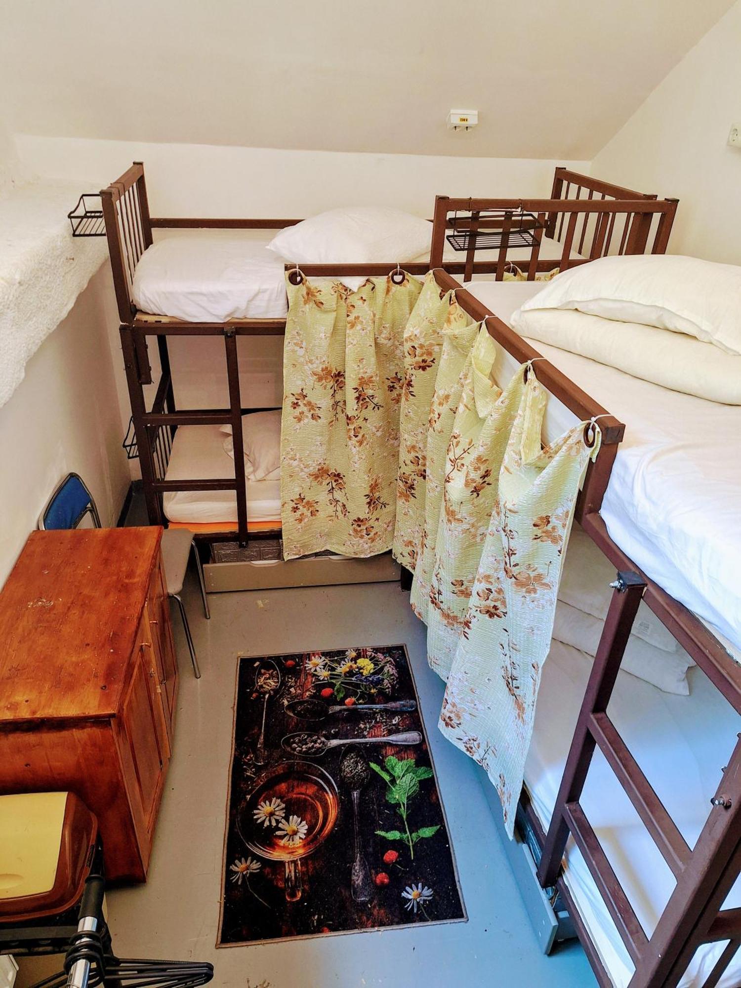 Downtown Hostel 布拉索夫 外观 照片