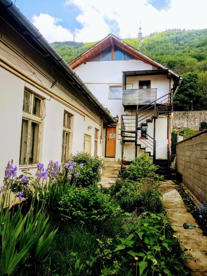 Downtown Hostel 布拉索夫 外观 照片
